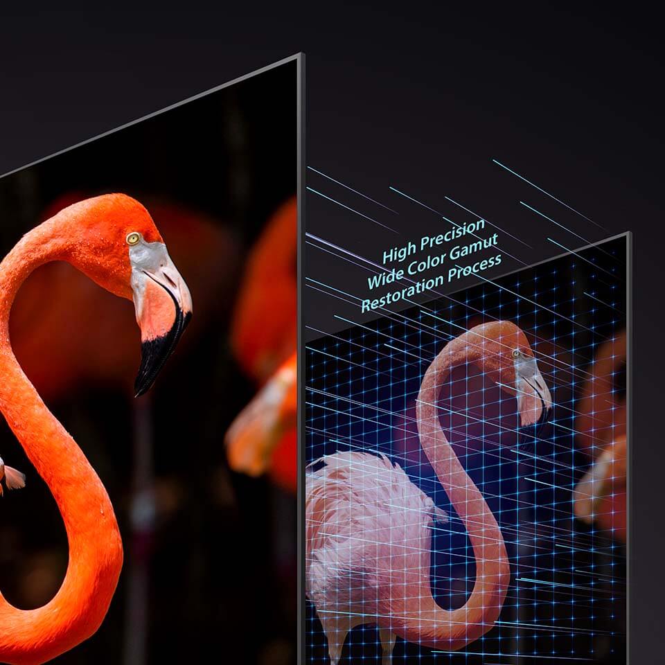 60_Wide Color Gamut Restoration